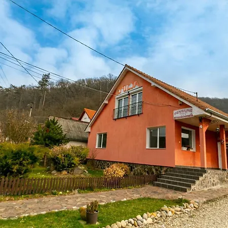 House Of Julia Pensjonat Sighișoara